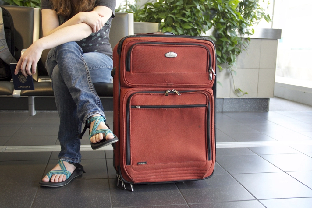 Traveler luggage
